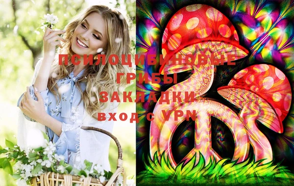 гидропоника Беломорск
