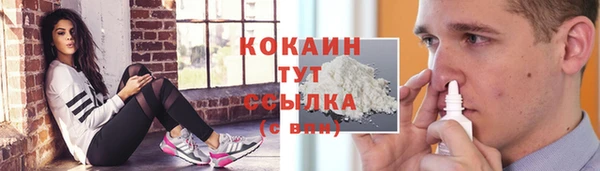 винт Белокуриха
