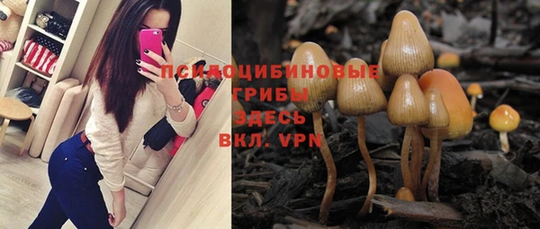 гидропоника Беломорск